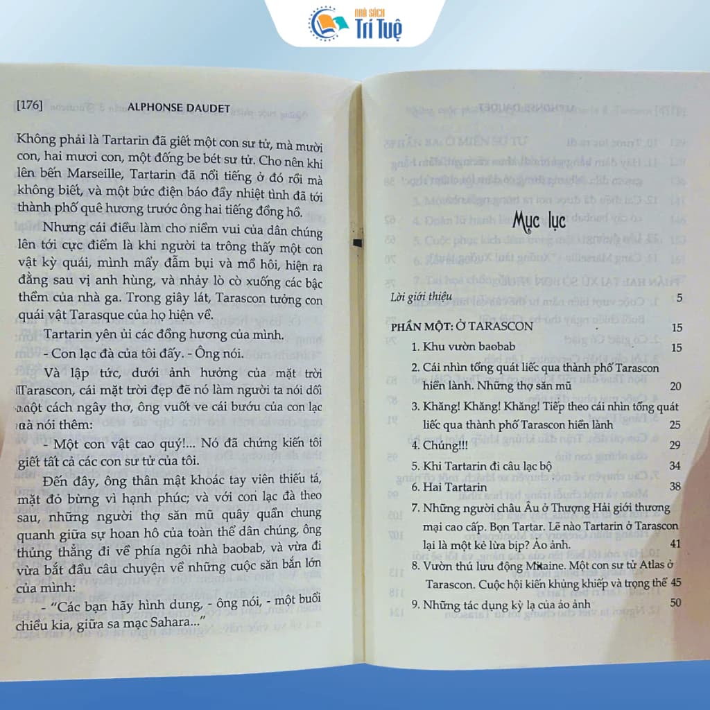 Những cuộc phiêu lưu kì diệu của Tartarin ở Tarascon