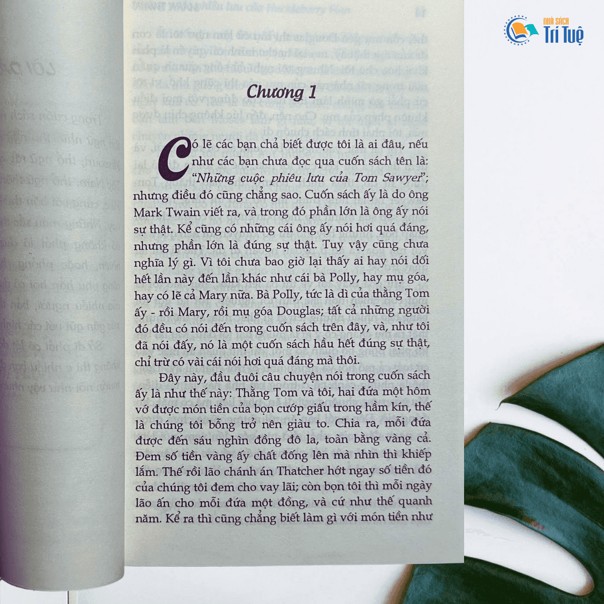 Sách: Những Cuộc Phiêu Lưu Của Huckleberry Finn