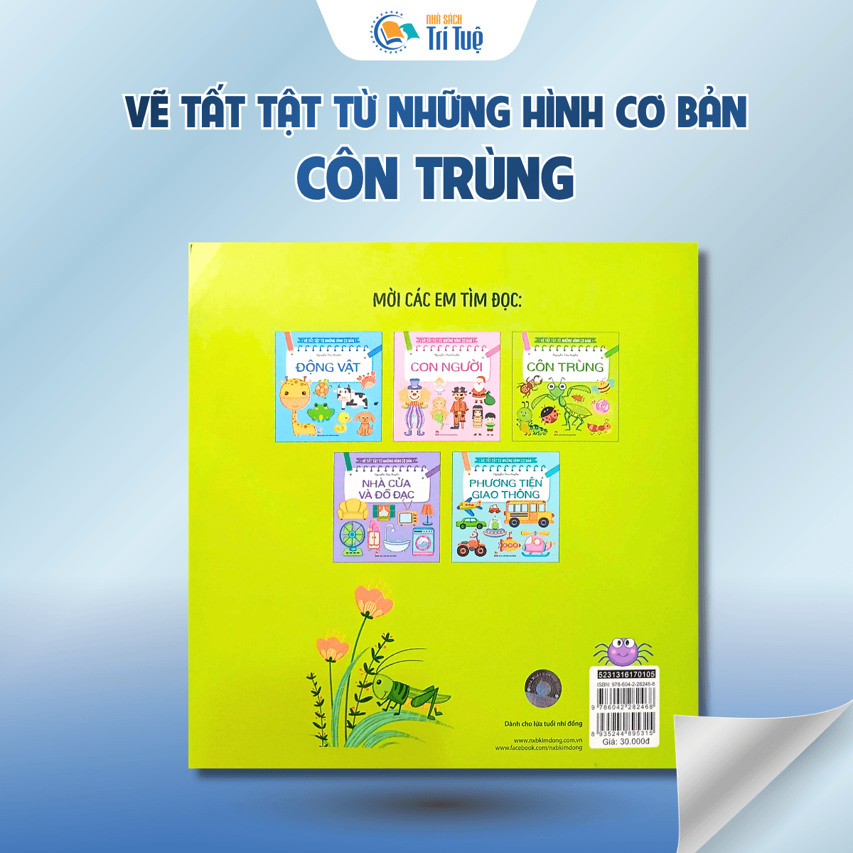 Côn trùng - Vẽ tất tật từ những hình cơ bản