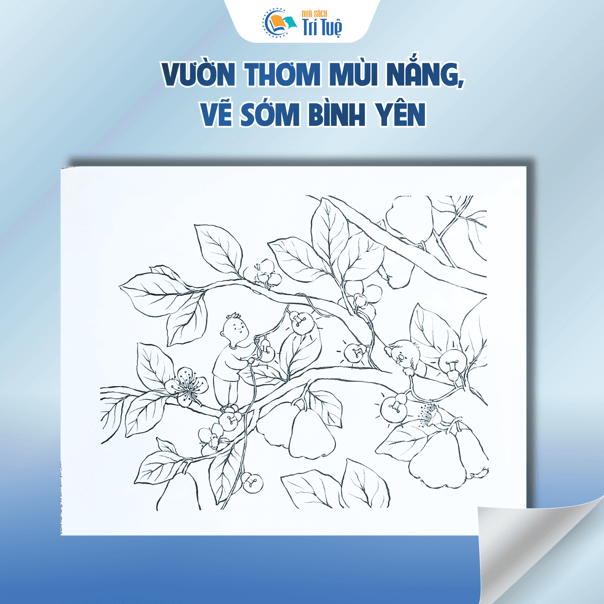 Vườn thơm mùi nắng, vẽ sớm bình yên