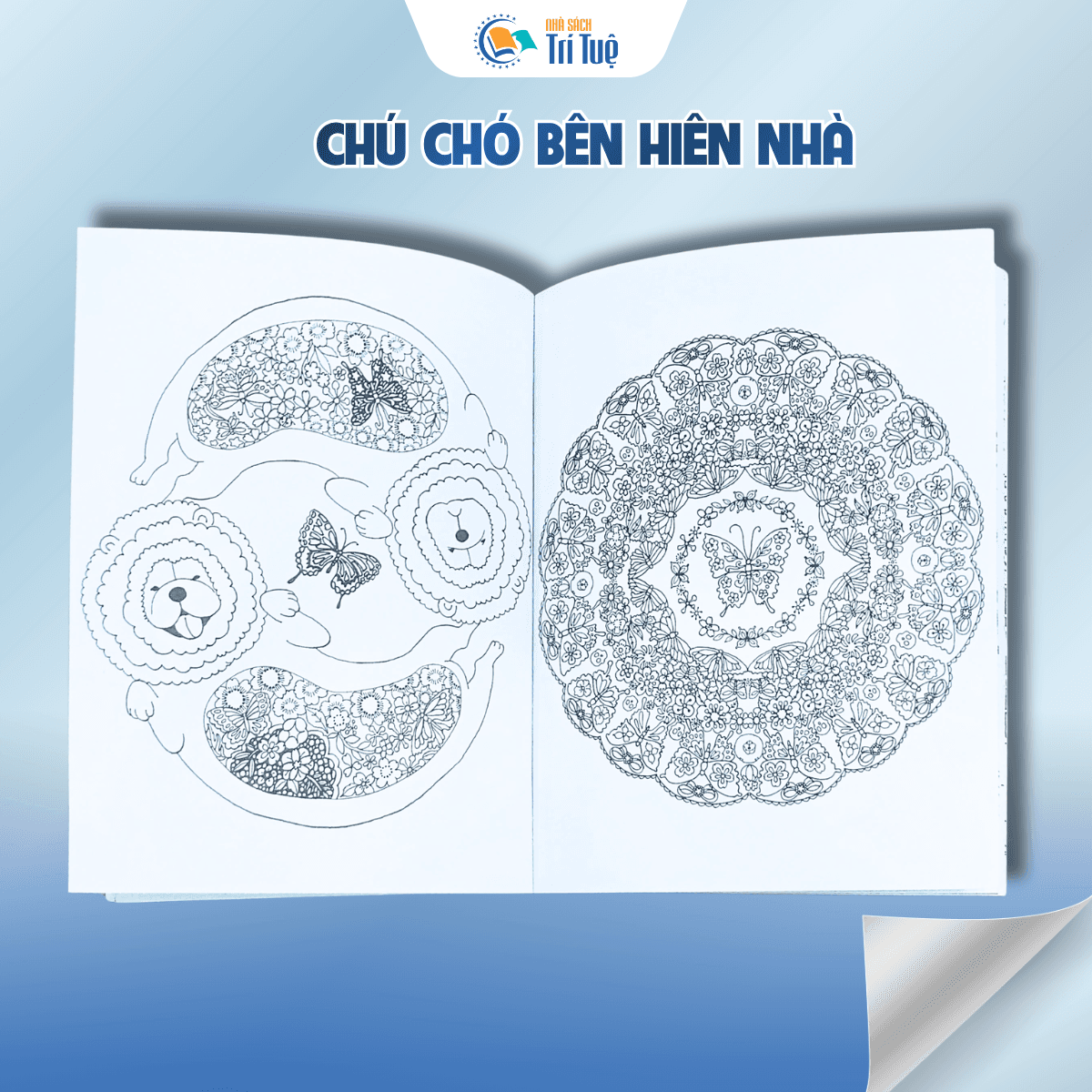 Chú chó bên hiên nhà