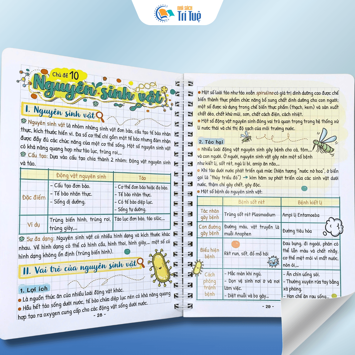 Take Note Khoa Học Tự Nhiên Lý - Hóa - Sinh 6