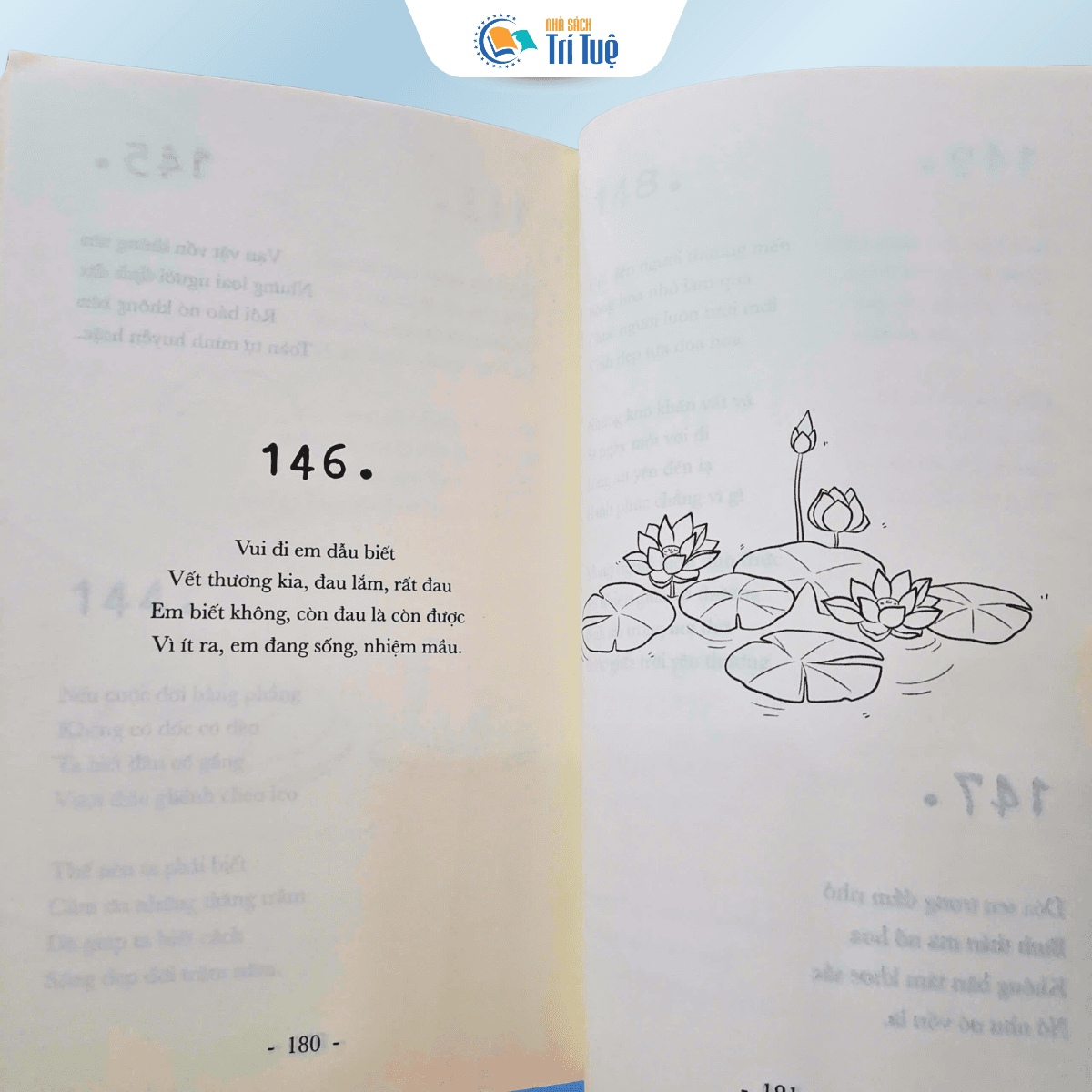 Đóa Hoa Tỉnh Thức Nở Giữa Vô Thường